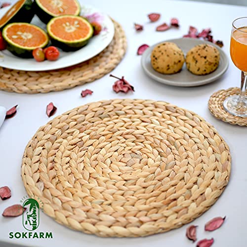 Image of Round Woven Placemats Set of 10, Water Hyacinth Rattan Placemats 11.8 in, Small Charger Plates for Salad & Dessert, Individuales para Mesa De Comedor, Boho Farmhouse Table Mats for Round Table