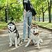 KOOLTAIL Dual Retractable Hundeleine für Zwei Hunde bis 110 Lbs, Heavy Duty Doppelkopf 16 ft Erweiterbare 360° Tangle-Free One Button&Lock Bremse Hundeleine für kleine mittlere Orange