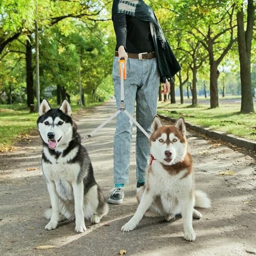 KOOLTAIL Dual Retractable Hundeleine für Zwei Hunde bis 110 Lbs, Heavy Duty Doppelkopf 16 ft Erweiterbare 360° Tangle-Free One Button&Lock Bremse Hundeleine für kleine mittlere Orange