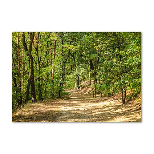 Tableau sur toile chemin de la forêt 100x70 cm haute qualité