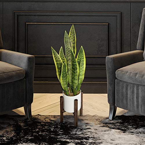 Greenboxx Artificial Snake Plant Pot 27" Portable Faux Potted Air-Purifying Indoor Plant Home Décor | Window And Wedding Décor | Arrangement Garden Ceramic Pot & Stand Included (Green-Yellow) #TOP1