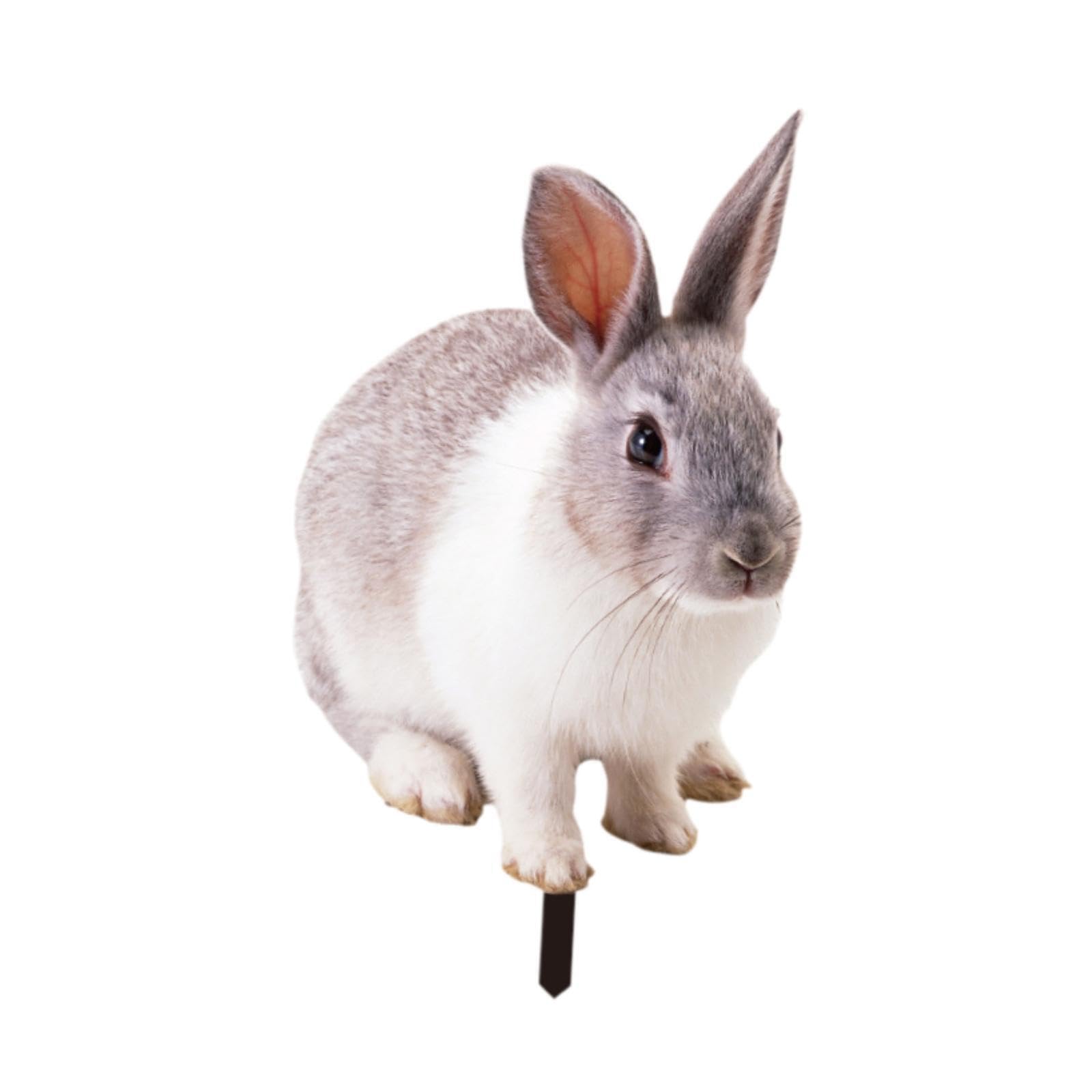 TWISAXC Rabbit Garden Statue Lifelike Rabbit Sculpture Outdoor Adorable Animal Ornament For Yard Art Garden Statues Are Easy To Install.With Stakes Decorative Sculpture Floor, Style A