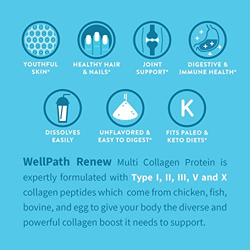 Renew Multi Collagen Protein Powder - 5 Types Of Collagen - Hydrolyzed Grass-Fed Bovine, Marine, Chicken And Egg Collagen Peptides - Type I, Ii, Iii, V, And X - Keto Friendly Supplement #TOP1