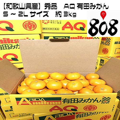 ya̎RYzGi@AQLc݂ S`2LTCY@p̃~J@3kg