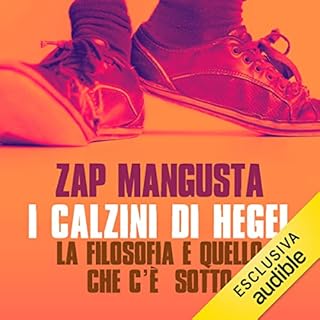 I calzini di Hegel copertina