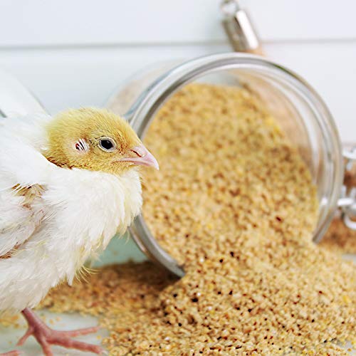 WachtelGold quail chick feed 5kg with 28 protein GMOfree