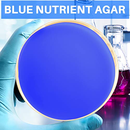 Evviva Sciences Colorful Nutrient Agar Kit - 15 Prepoured Nutrient Agar Petri Dishes - Red, Green, & Blue Agar Plates - Science Laboratory Project - Experiment Ebook - Learn Microbiology Now