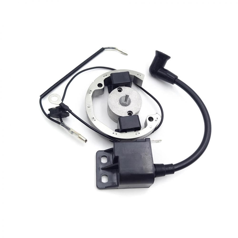 SX50 50cc 2 brote de motor de motor Magneto Magneto El volante del estator del volante compatible con bicicletas de boxes 2002-2008