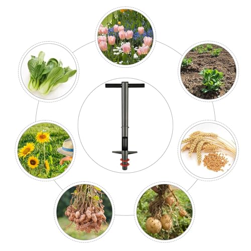Zwiebelpflanzer mit ergonomischem Griff – Robustes Blumenwiebelpflanzer Pflanzwerkzeug zum Einsetzen von Blumenzwiebeln, Beetpflanzen, Tulpen, Krokussen, Dahlien, Gladiolen & Lilien