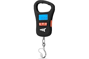 KastKing Fish Scale: Essential Fishing Accessory for the Modern Angler