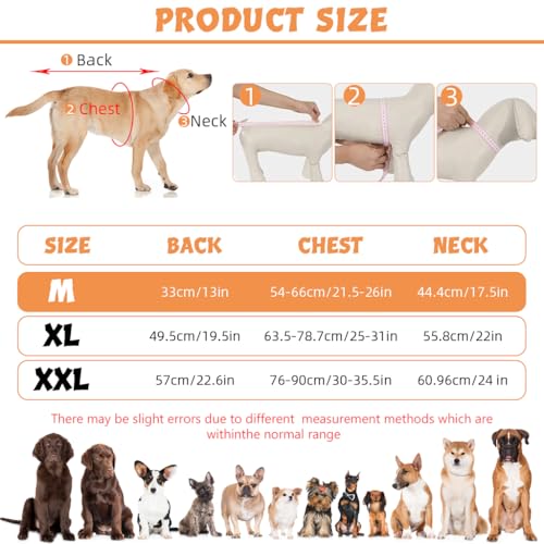 Image of Qpets Dog Rain Coat, Anti-wind & Reflective, Clear PVC, Elastic, Machine Wash, 2 Pack, Autumn, Spring, Winter
