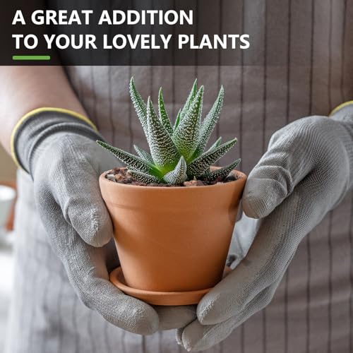 Image of 5lbs Mix Horticultural Lava Rocks for Plants, 1 /5 Inch Potting Soil Amendment for Succulents, Cacti, Bonsai, Decorative Gravel Plant Drainage Volcanic for Terrarium, Top Dressing