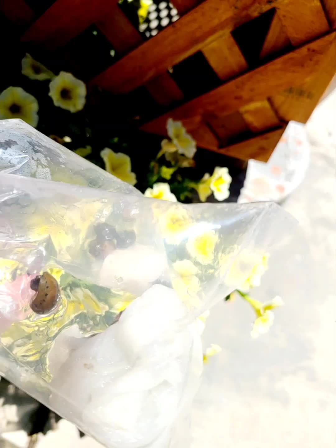 I got it today, but they are not as pretty as it appears.  on Amazon Live