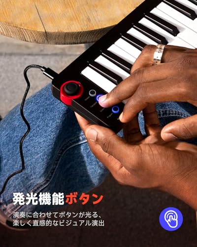 Donner MIDIキーボード 25鍵 USBコントローラー ミニ鍵盤 コンパクト ベロシティ対応 音楽制作 日本語取扱説明書 ブラック N-25