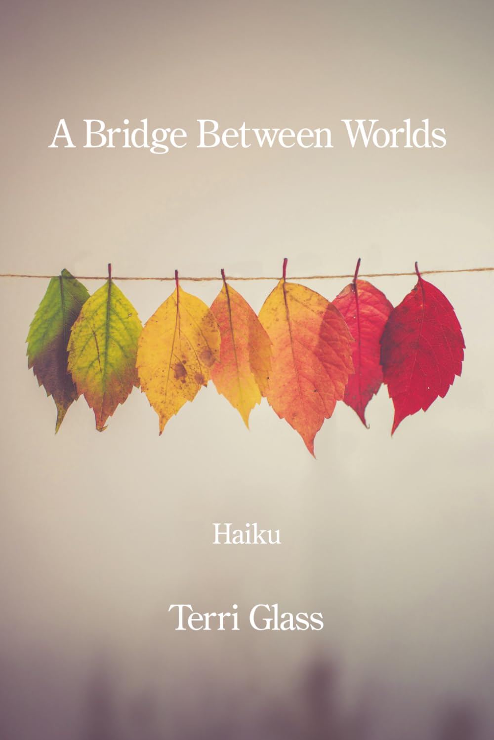 A Bridge Between Worlds: Haiku