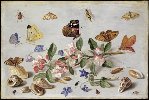 Tableau Insectes de Jan Van Kessel affiche d'art murale toile 60x90cm