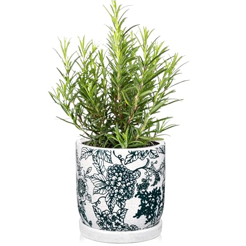 Ceramic Chinoiserie Planter, Ceramic Flower Pot with Drainage for Indoor & Outdoor, Chinese-Inspired Ceramic Plant Pot for Succulents, Herbs, Orchids, Garden, Tabletop, Shelf Decor, Green & White