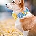 Ipetboom Dog Collar Adjustable Design Fashionable Flower Neck Tie for Dogs and Cats Comfortable Pet Accessory for Festive Occasions