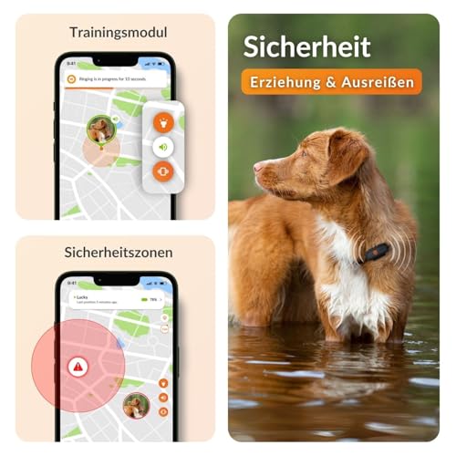 Weenect XS für Hunde - Mini GPS-Tracker für Hunde | GPS-Tracking in Echtzeit | Kleinstes Modell auf dem Markt | Abonnement | Wasserdicht