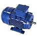 Mophorn Motor Trifásico Motor Eléctrico Estándar 400V 0.25kw Tipo B3 1 /...