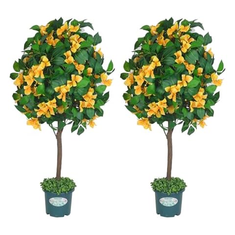 QIANYUN Artificial Tree - 3.7ft Tall Fake Potted Bougainvillea Silk Tree with Planter UV Resistant Plants for Indoor and Outdoor Home Garden (Bougainvillea Yellow) Cover