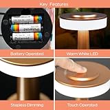 Global Gizmos 66339 LED Table Lamp/Battery Operated Bedside Lamp/Touch Operated Dimming/Warm White Light Colour / 20 x 12cm - Image 3