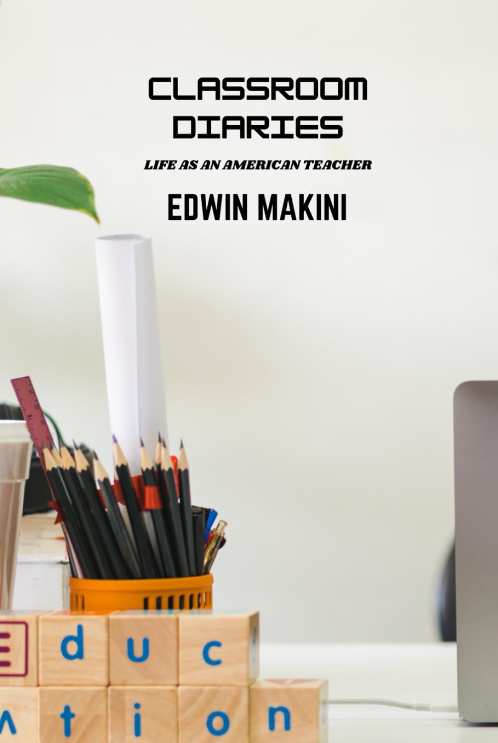 Classroom Diaries: Life as an American Teacher