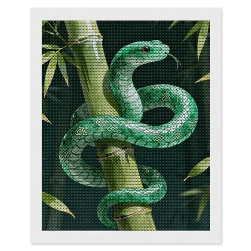 Kit de peinture diamant 5D bambou maccbn avec broderie diamants ronds