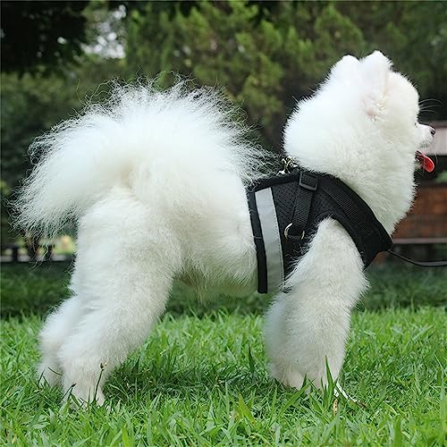 LOS ANDES Hundegeschirr & Katzengeschirr, Reflektierend, Weich Gepolstert, Air-Mesh für Welpen & Kleine Hunde & Katzen, Schwarz, Gestreift, S(Brust: 29-33cm)