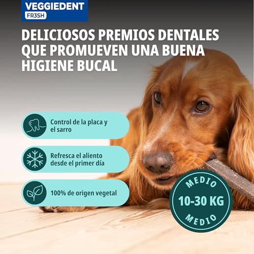 Image of Virbac VeggieDent Chew Bands for Medium Dogs (10-30 kg) - 1 Pack