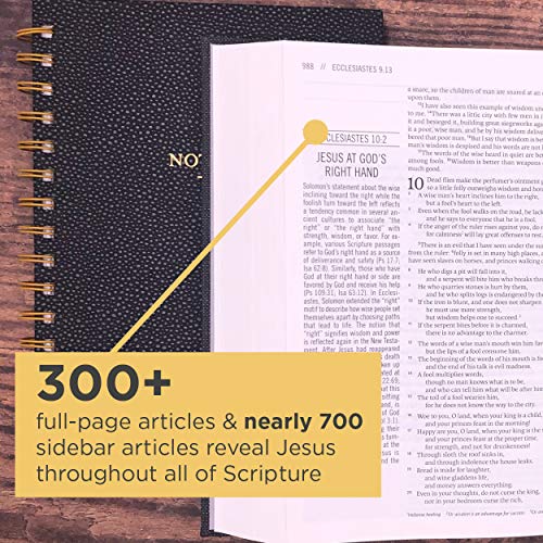 The Jesus Bible, ESV Edition, Cloth over Board, Gray - Image 2