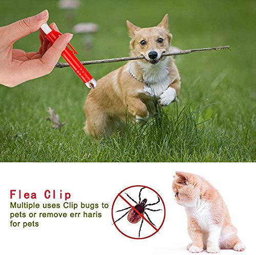 PKQTOP Zeckenentferner Set Für Hunde Katze,Zeckenzange Set 3er Pack, Zeckenentfernung In Sekunden,Sicherer Zeckenpinzette für Menschen und Tier