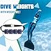 Tellegloww 4 Pcs Dive Weights Belt for Scuba Diving Coated Dive Weights Nylon Dives Belt with 1 Metal Quick Release Buckle for Free Diving Spear Fishing(2.2 lb,Black)