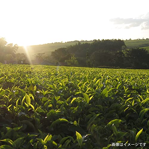 リプトン 紅茶 セイロン ティーバッグ 50袋×2