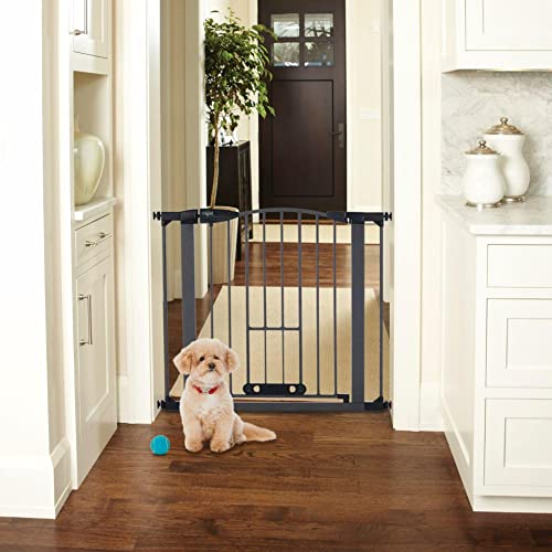 Top 10 Best Windsor Arch Pet Gate Reviews & Buying Guide Katynel