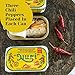 NURI Portuguese Sardines in Extra Spicy Olive Oil 4.4 oz can (Sardines Extra Spicy Olive Oil)