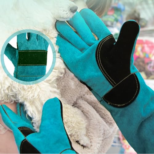 Gants de manipulation pour l'élagage des roses et chien - 4