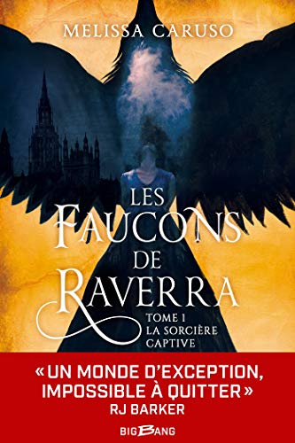 Télécharger La Sorcière captive: Les Faucons de Raverra, T1 PDF Ebook En Ligne