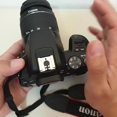 Amazon | Canon EOS Rebel SL3 デジタル一眼レフカメラ EF-S 18-55mm f