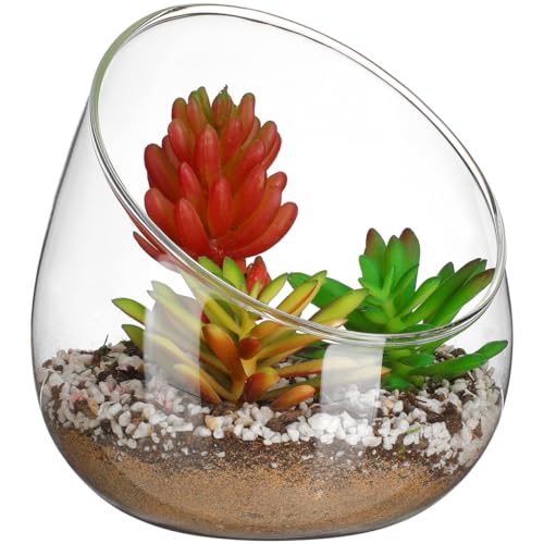 Image of DOITOOL Clear Slant Cut Bowl Glass Vase, Glass Terrarium Candy Dish Fish Bowl Vase Fruit Jar Air Plant Holder for Succulents, Cacti, Moss, Terrariums, Flower Centerpiece, Height: 4.7 inch, Base: 4 inch