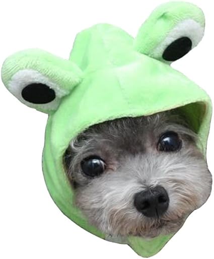 dog frog costume