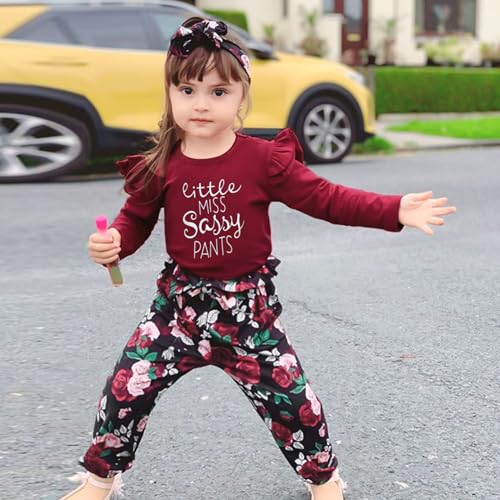 Image of SANMIO Toddler Girl Clothes Cute Ruffle Sleeve Shirt Floral Pants Headband