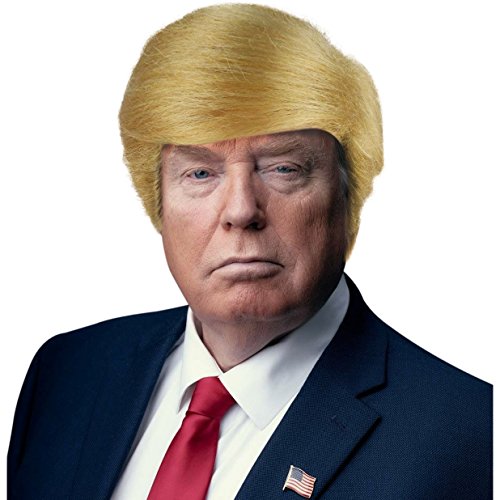 Robelli Blonde USA President Halloween Fancy Dress Wig