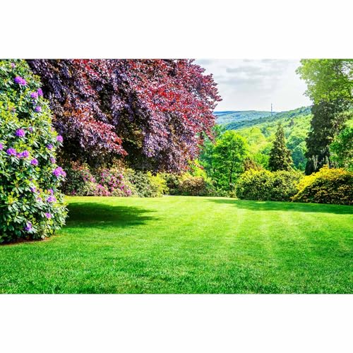 Park Backdrop City Garden Park Blooming Rhododendron Fresh Green Lawn Copper Beech Tree Photography Background Nature Springtime Landscape Backdrop for Travel Vacation Hiking Portrait Props 5x3ft