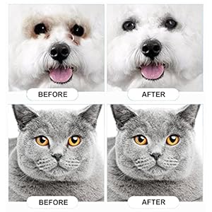   Dog-Eye-Wipes-2-Pack-300-Count-Tear-Stain-Remover-for-Dogs-Cats-Puppies-Kittens-Pet-Cleaning-Wipes