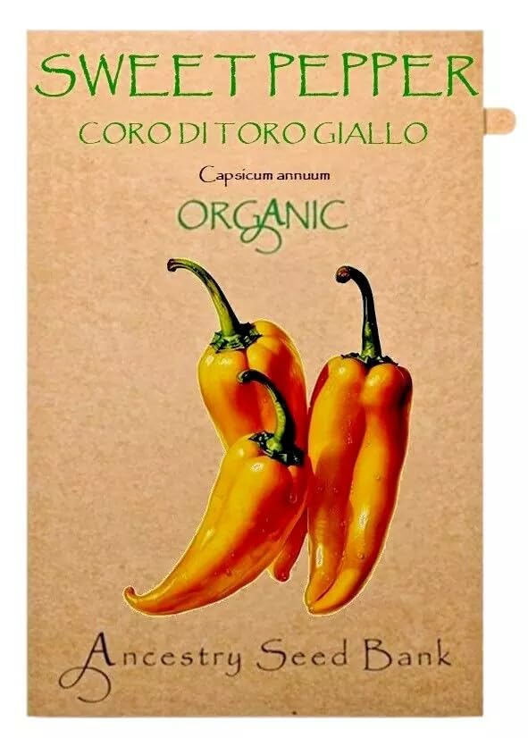 Organic Pepper Sweet ❁ Corno Di Toro Giallo ❁ x10 Seeds Heirloom - Non GMO