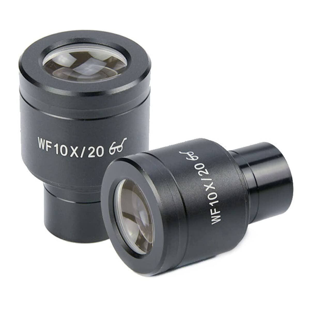 Osservazione al microscopio 1 paio WF10X / 2. Occhio grandangolare da 0mm microscopio, dimensioni di montaggio 23.2mm