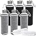 Jalousie Glass 2018 new Water Bottle 6 Pack 18oz Travel Juice Beverage Milk Bottle Clear Sport Bottles with Stainless Steel Caps Carrying Loops and Protective Sleeves-2 Brushes Included