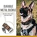 OneTigris Military Adjustable Dog Collar with Metal D Ring & Buckle 2 Sizes (Coyote Brown, L)