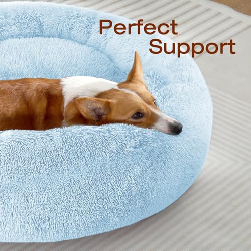 Image of JOLLYVOGUE Dog Bed, Calming Anti-Anxiety Large Dog Bed, Fluffy Donut Cushion for Medium and Large Pets (27 inch /30 inch /36 inch)